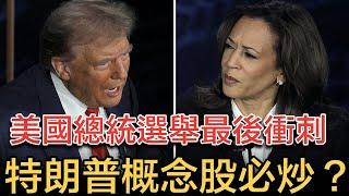 美國總統選舉最後衝刺，特朗普概念股必炒？有一陷阱，必須要注意！#拆解經濟精華#WaveTrader