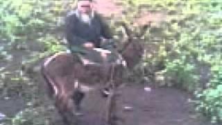 TAJIK COWBOY