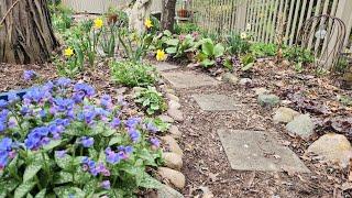 End of April Walkabout & Garden Tour  