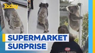 Cute koala makes a surprise visit to regional IGA store | Today Show Australia