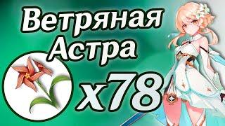 ВЕТРЯНАЯ АСТРА 78шт. МАРШРУТ СБОРА ВСЕЙ ВЕТРЯНОЙ АСТРЫ НА КАРТЕ. Геншин Импакт | Genshin Impact 3.0