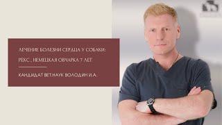 Лечение болезни сердца у собаки: Рекс, немецкая овчарка 7 лет.