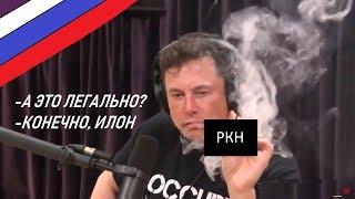  ИЛОН МАСК КУРИТ WEED  С ДЖО РОГАНОМ (На русском)