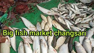 Big fish market in changsari kamrup  assam##mukut vlogs Assam