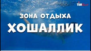 Хошаллик. Горячие источники. Чунджа. #чунджа #хошаллик #бассейн