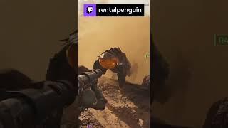 Smile for the birdie! | rentalpenguin on #Twitch