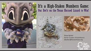 Wildlife Diversity Webinar Series - Reintroduction of the Texas Horned Lizard