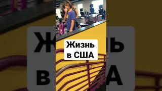 Моя жизнь в США. Трудно ли мне жить в США?