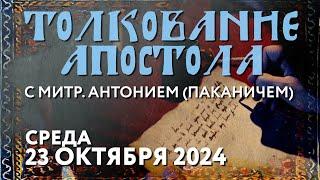 Среда, 23 октября 2024 года. Толкование Апостола с митр. Антонием (Паканичем).