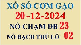 Soi cầu XSMB 20/12/2024| Dự đoán XSMB hôm nay chính xác 100| Nuôi lô XSMB| Soi cầu cơm gạo