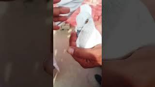 Asif Ali#vlogs #movie #amazing #s