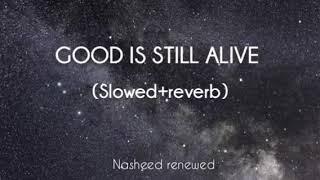 (Slowed+Reverb) Good is still alive | La Yazal Al-khair | Beautiful Arabic nasheed |