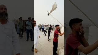 Shok Delhi Walo Ka, 2365 Kabutar  #kabootarbazi #pigeon #kabutar #birds #funny  #viral #vibes #enjoy