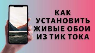 Как поставить живые обои из Тик Тока