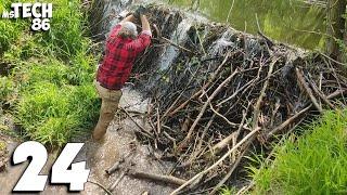 Manual Removal Of The Great Beaver Dam And A Huge Amount Of Water - Beaver Dam Removal No.24