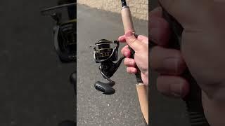 Daiwa BG is still great after all these years!