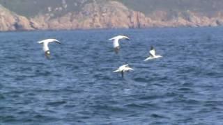 Marine Discovery Penzance 14/09/16