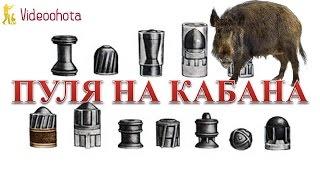 Пуля на кабана! Что ЛУЧШЕ - Videoohota