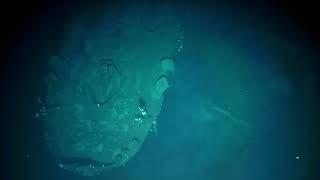 First Visual Survey of IJN Akagi 赤城 - Historic Battle of Midway Shipwreck | Nautilus Live