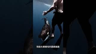 現實版_海王_，自由潛水狂魔塔維的深海傳奇 #極限運動 #自由潛水 #海王 #人體潛能