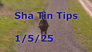 Hong Kong Horse Racing Tips 1/5/2025 - Sha Tin