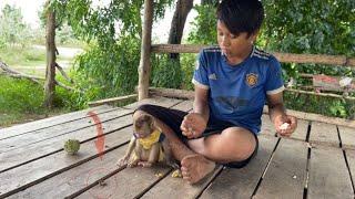 Zhuly Monkey is upset with his brother for making food fall on the board.