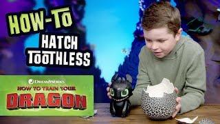 How To Train Your Dragon How To Play With Toothless