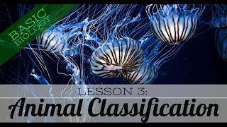 Basic Biology. Lesson 3 - Animal Classification (GCSE Science)