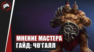 МНЕНИЕ МАСТЕРА #107: «Swexo» (Гайд - Чо'Галл) | Heroes of the Storm