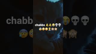 chabbs