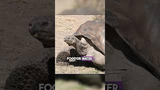 fascinating animal facts that will make you think twice!