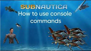 How to use console commands in subnautica