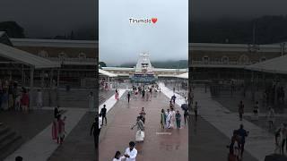 Tirumala  #tirupati #tirumala