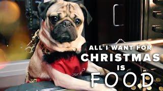 All I Want For Christmas Is Food - Doug The Pug