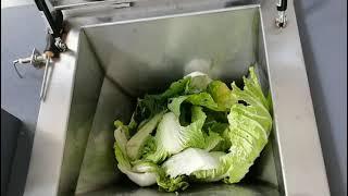 Automatic Organic Food Waste Shredder Machine