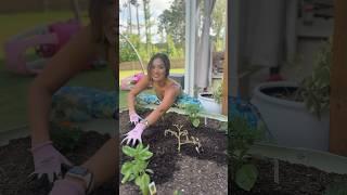 Garden Goal  Avoid the Plague #gardening #sahm #beginnergardener #momlife #gardeningforbeginners