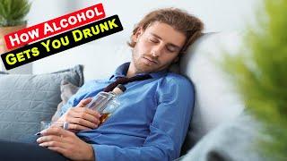 How Alcohol Gets You Drunk - Traveling Though 7 Body Organs