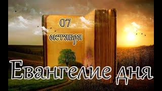 Апостол, Евангелие и Святые дня. Равноап. Фе́клы Иконийской, первомученицы. (07.10.24)