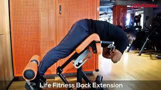 Life Fitness Back Extension Machine