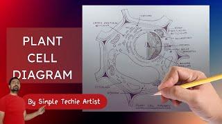 Plant Cell Diagram Easy Drawing | Drawing the Plant Cell: A Step-by-Step Guide