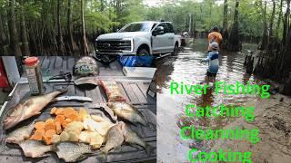 River Fishing Adventure Catching Cleaning and Cooking Fish on the Swamp Banks Unforgettable Memories