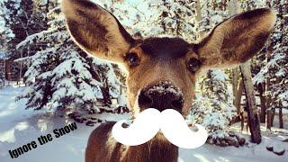 Deerie The Deer
