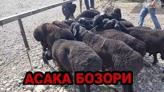 АНДИЖОН АСАКА УЗБЕКИСТОН КУЙ БОЗОРИ 2021 ANDIJON ASAKA UZBEKISTON QÒY BOZORI XISORI NARXLARI EDILBAY