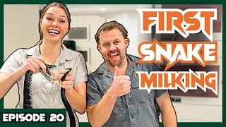 First Woman to Milk a TIGER SNAKE | Venom Diaries