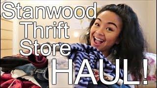 39 Items for $12.54 Thrift Haul + Try-on | Camille