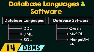 Database Languages and Software