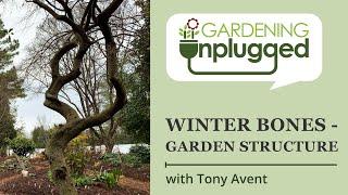 Gardening Unplugged - Winter Bones, Designing for Garden Structure with Tony Avent