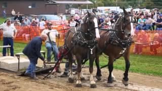 Viola Horse and Colt Show 2014 Horse Pull