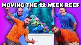 Moving Reef Tank Quickest Guide | 12 Week Reef Done