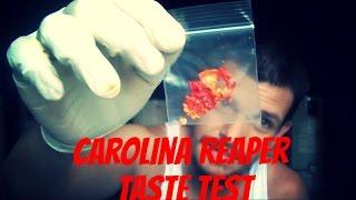 CAROLINA REAPER TASTE TEST